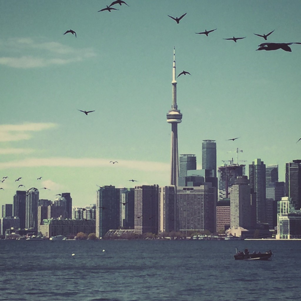 „Bird’s Eye View“ auf Toronto_Copyright Sabrina Hasenbein